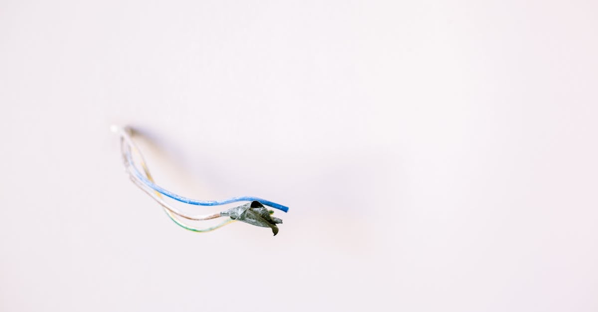 Training Employees on Preventative Strategies for Electrical Safety